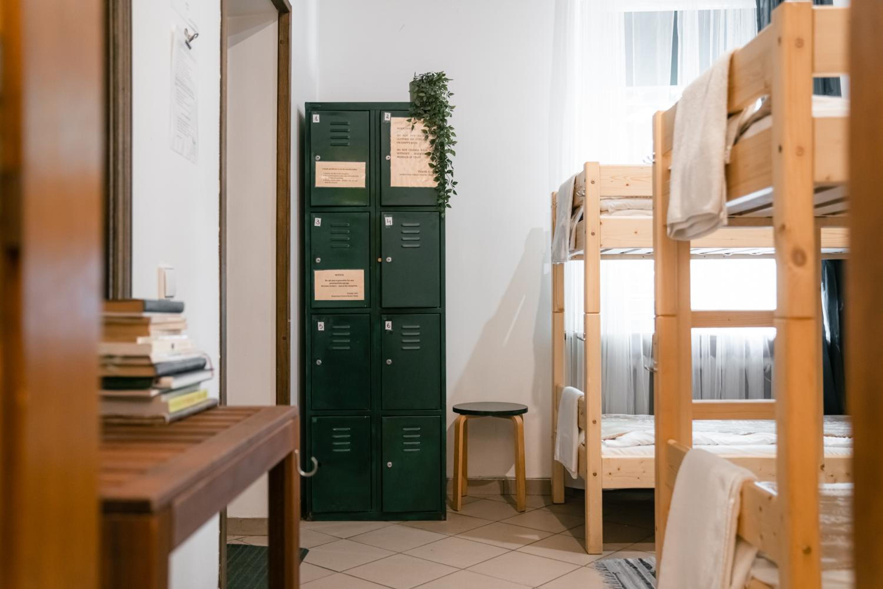 Downtown Forest Hostel & Camping