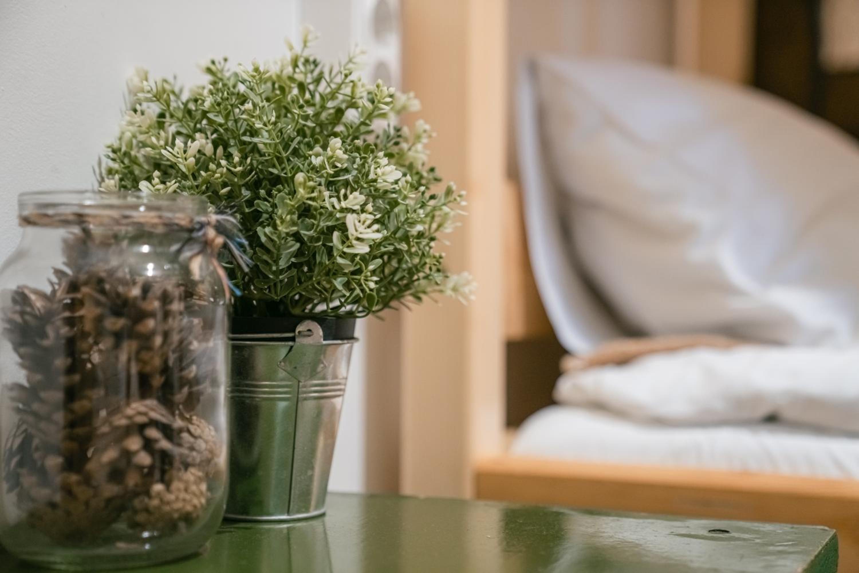 Downtown Forest Hostel & Camping