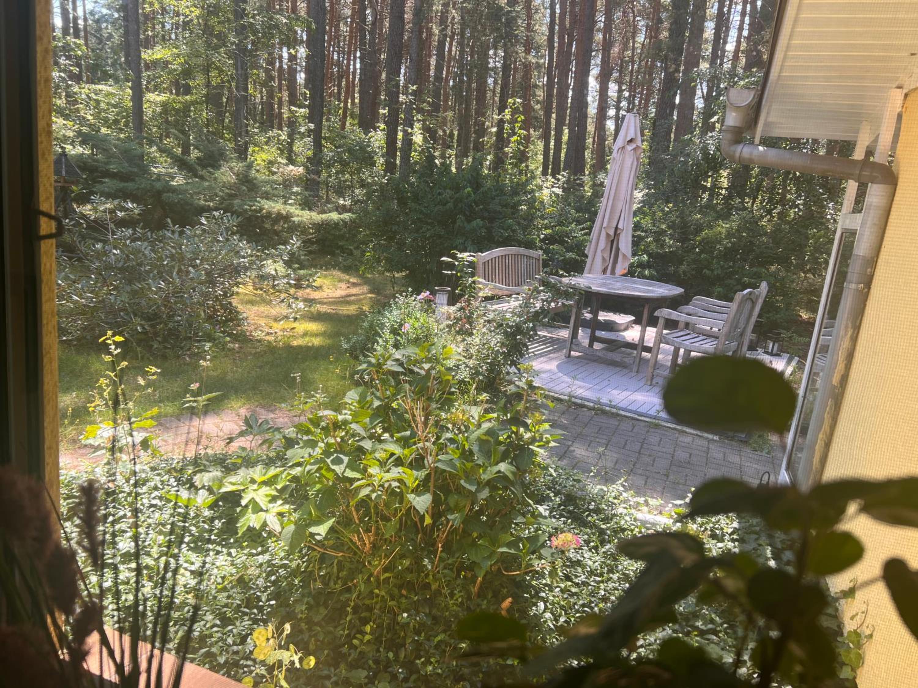 Ferienhaus im Wald