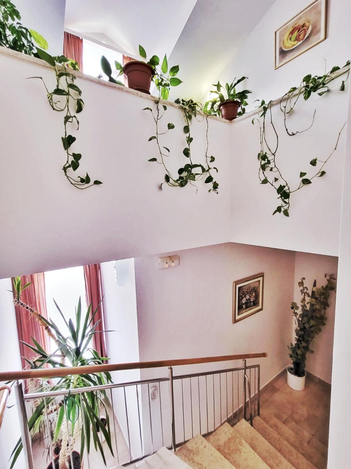 Villa Palčić II view 4