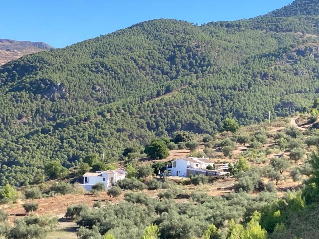 Apartamento La Fuente Alcaucin