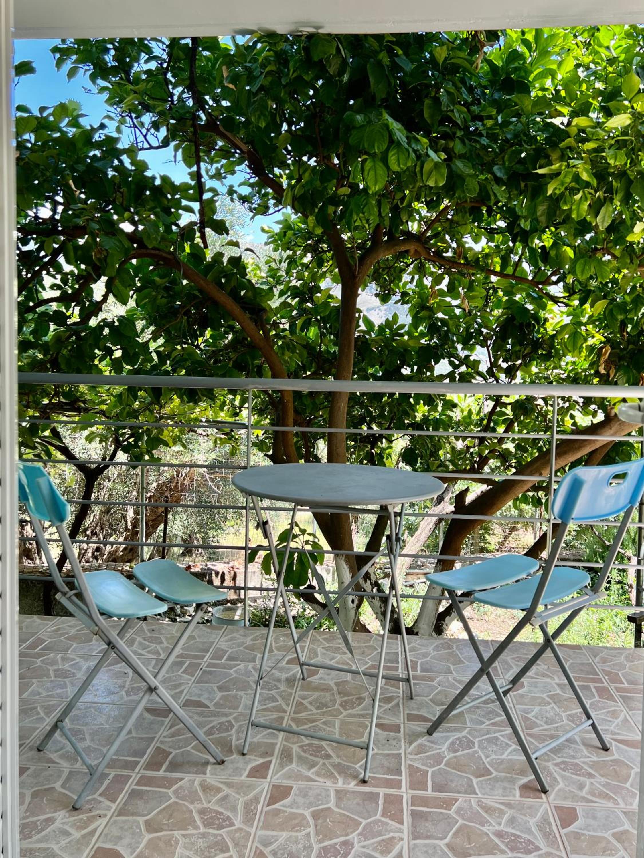 Lucas apartments photo 3