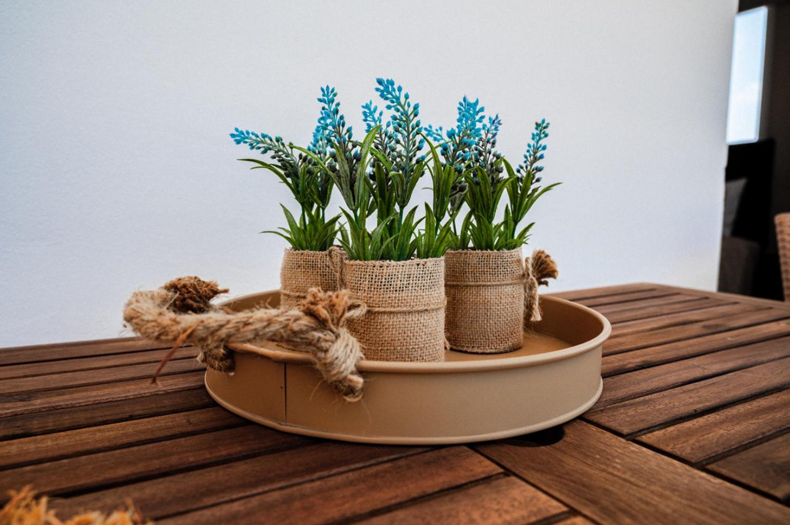 Narcissos 'Nissi Beach' Apartment E9
