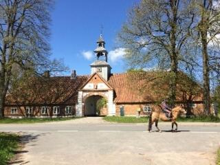 Photo 40