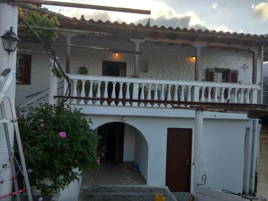 MATAS HOUSE view 4