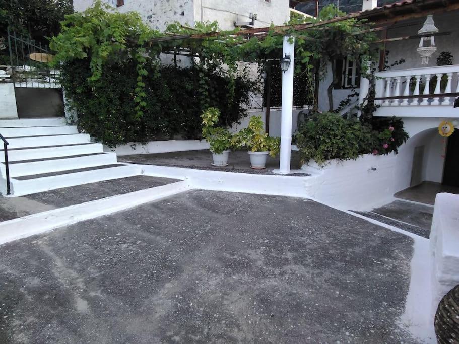 MATAS HOUSE view 2