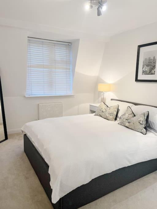 Beautiful Central London Mews, sleeps 4