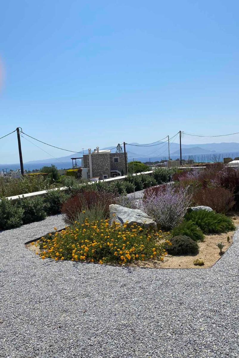 Kapares Studios photo 4