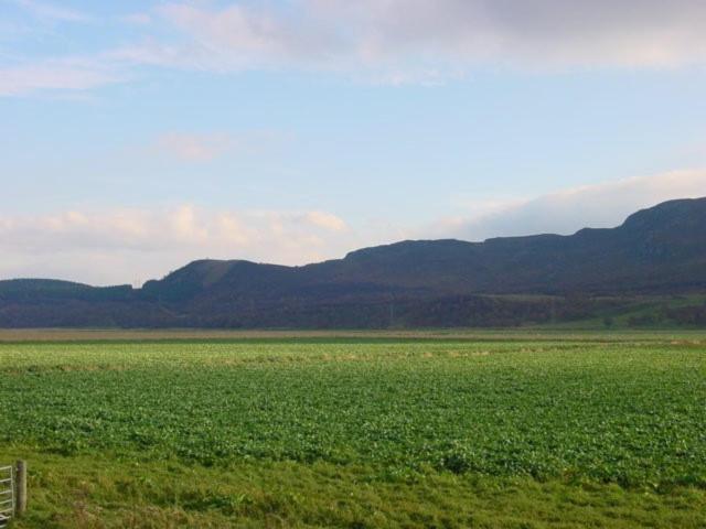 Photo 39