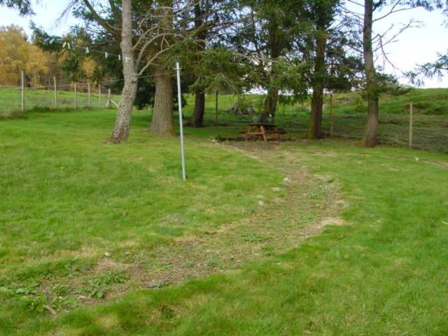 Photo 43