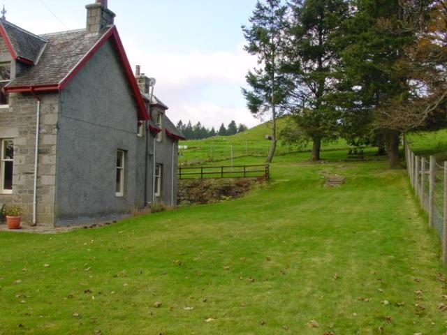Photo 42