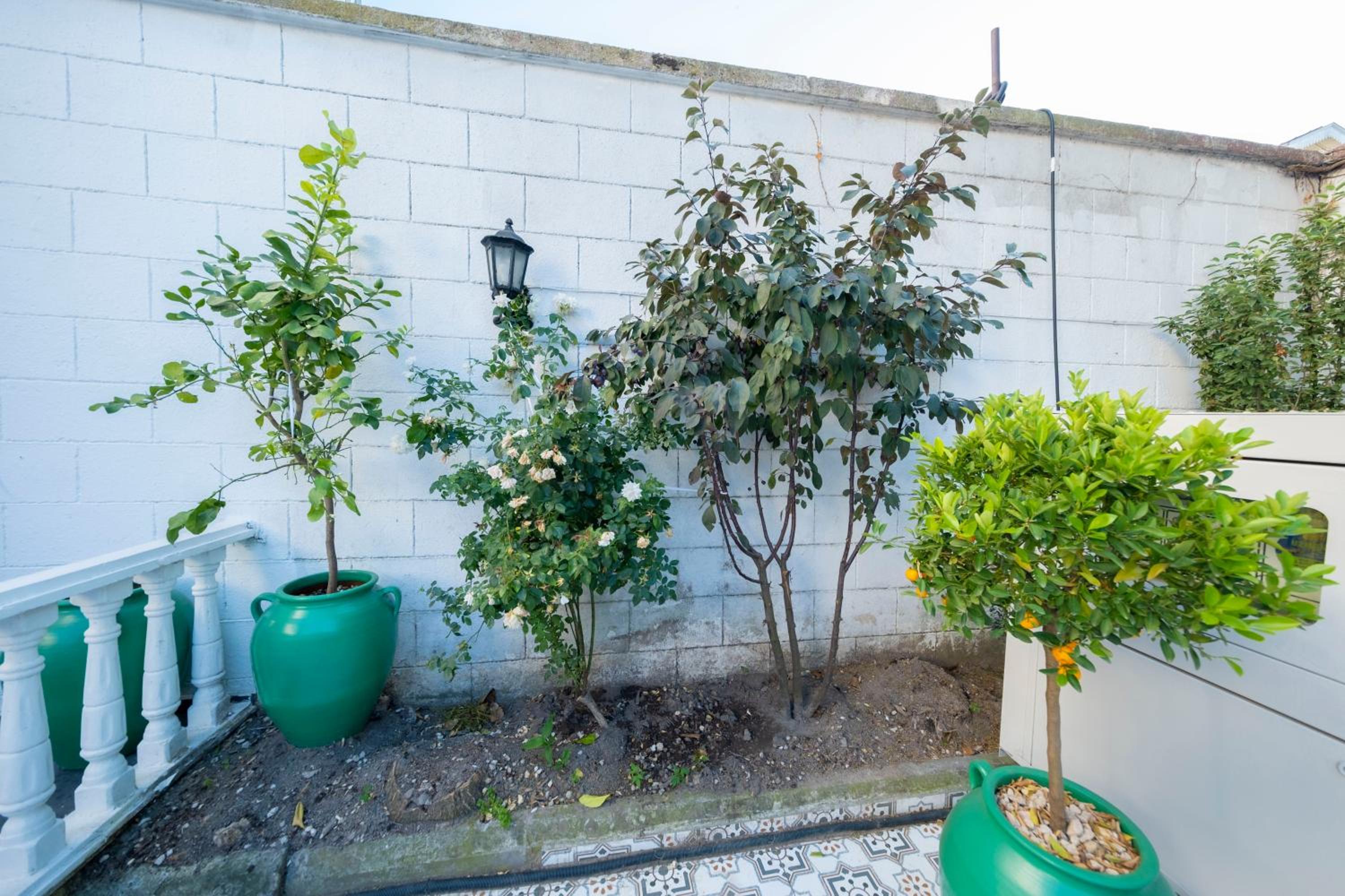 Solomon's Mansion Otel İstanbul - Image 92