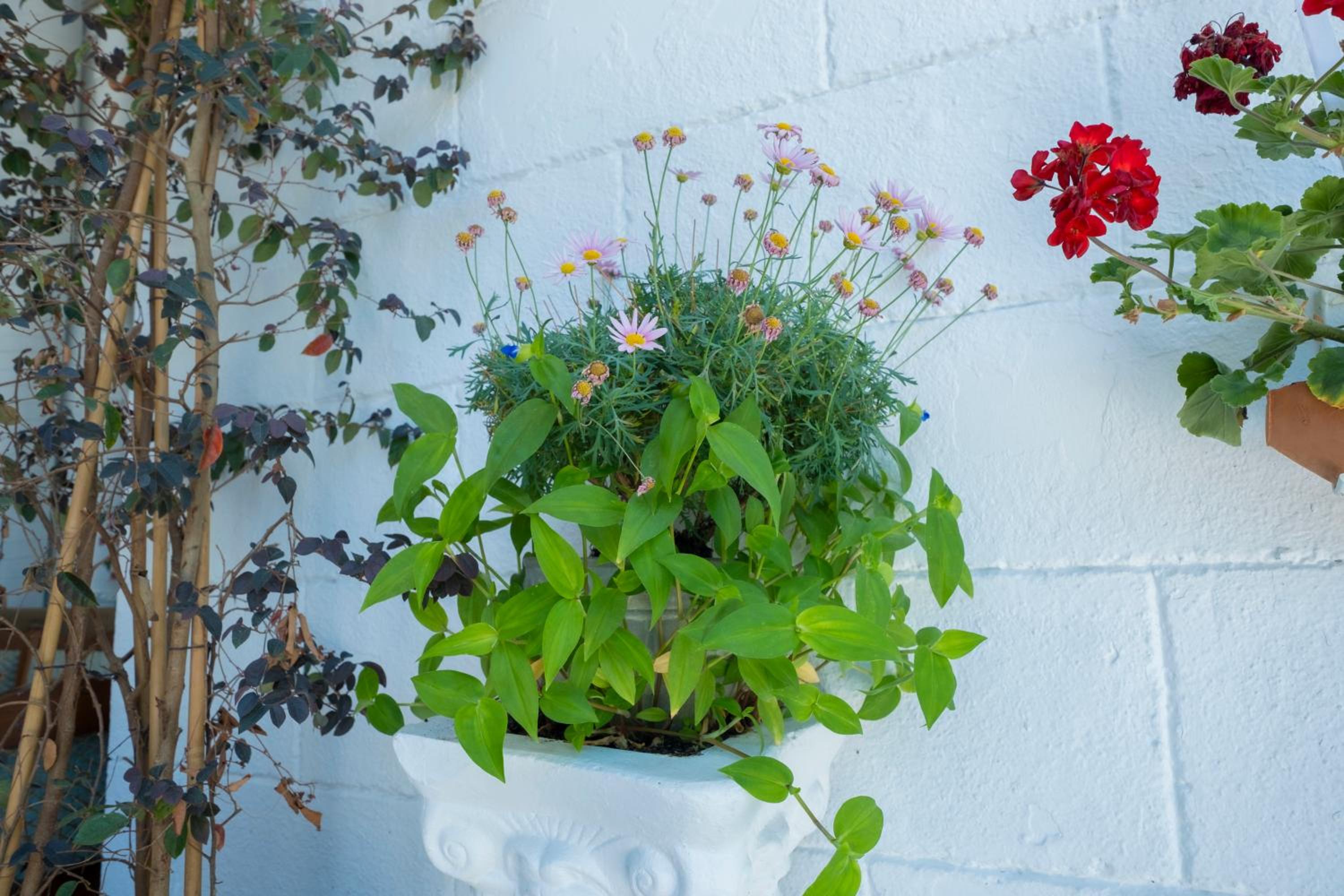 Solomon's Mansion Otel İstanbul - Image 58