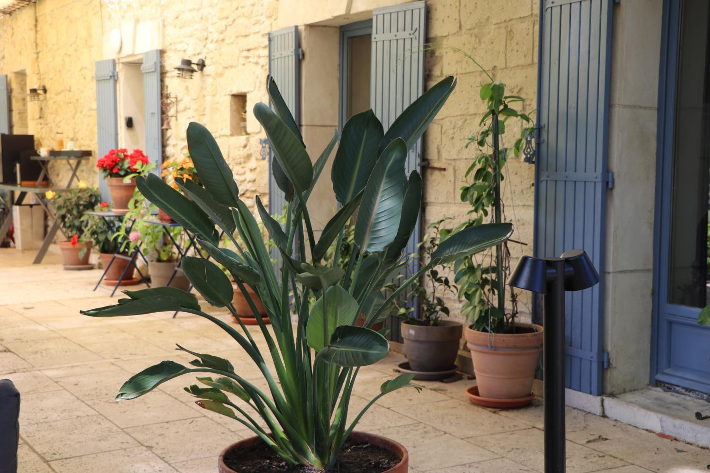 Le Mas des Cerisiers JACUZZI et SAUNA inclus pour tous les logements