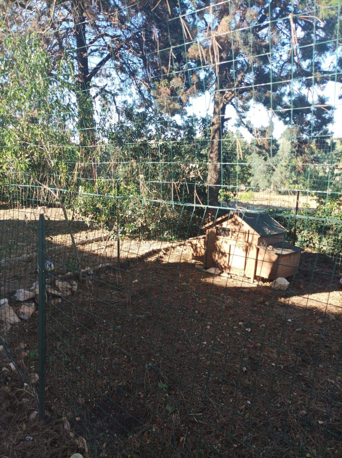 Photo 18