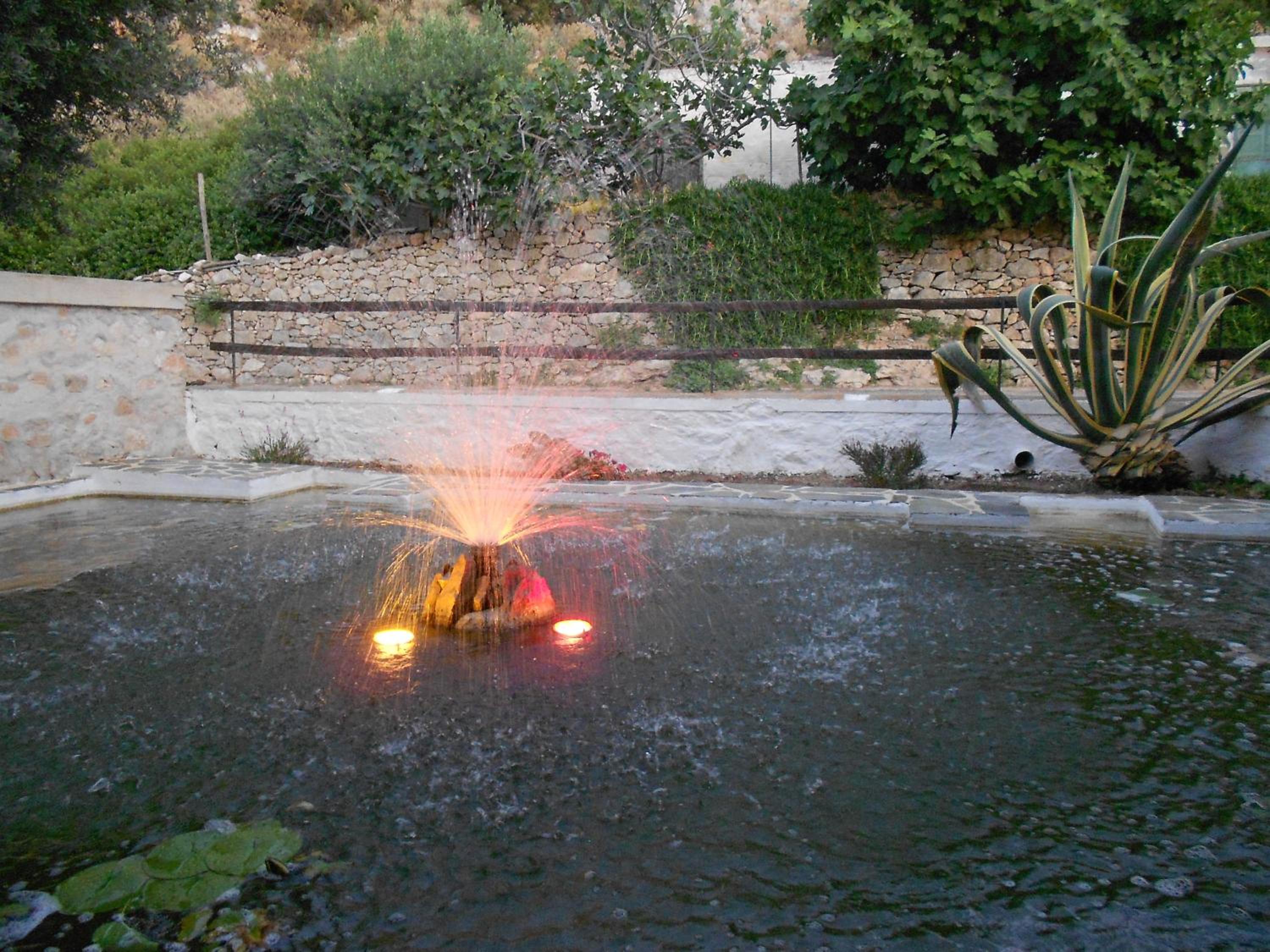 Photo 33