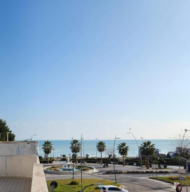 Sophie's Oasis photo 4