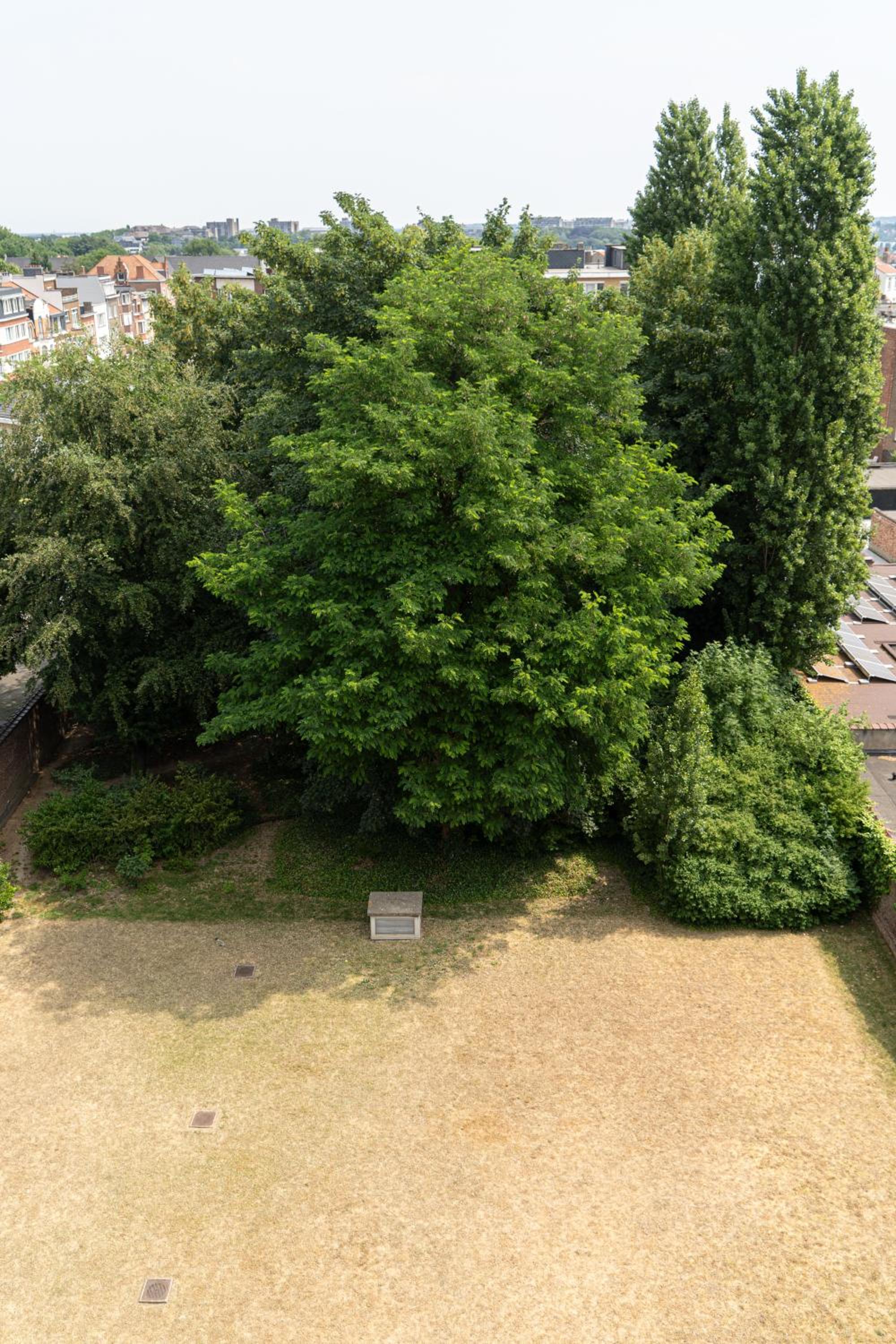 Diamant Suites Brussels EU — photo 43