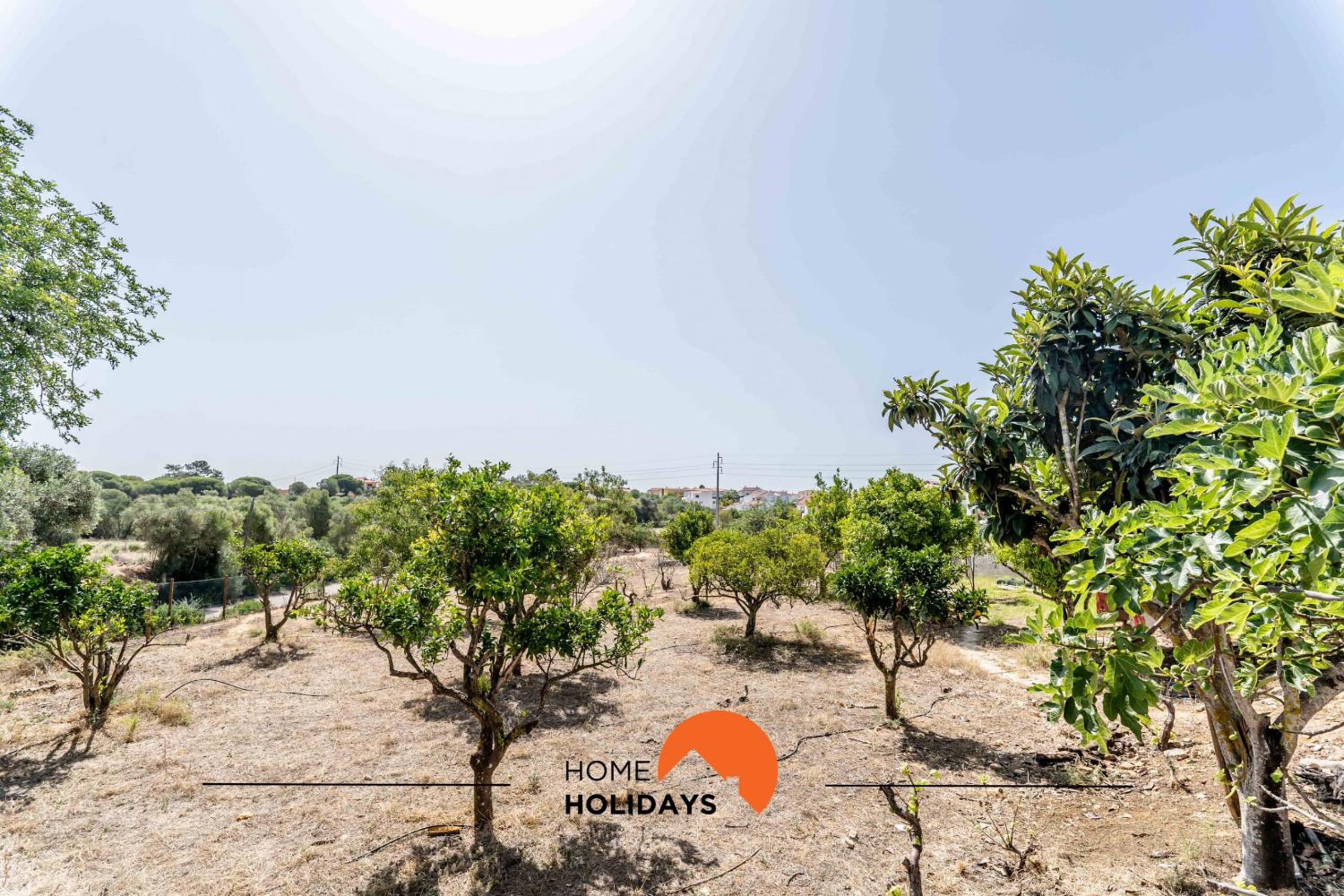 #178 Monte das Churras 1 by Home Holidays view 4