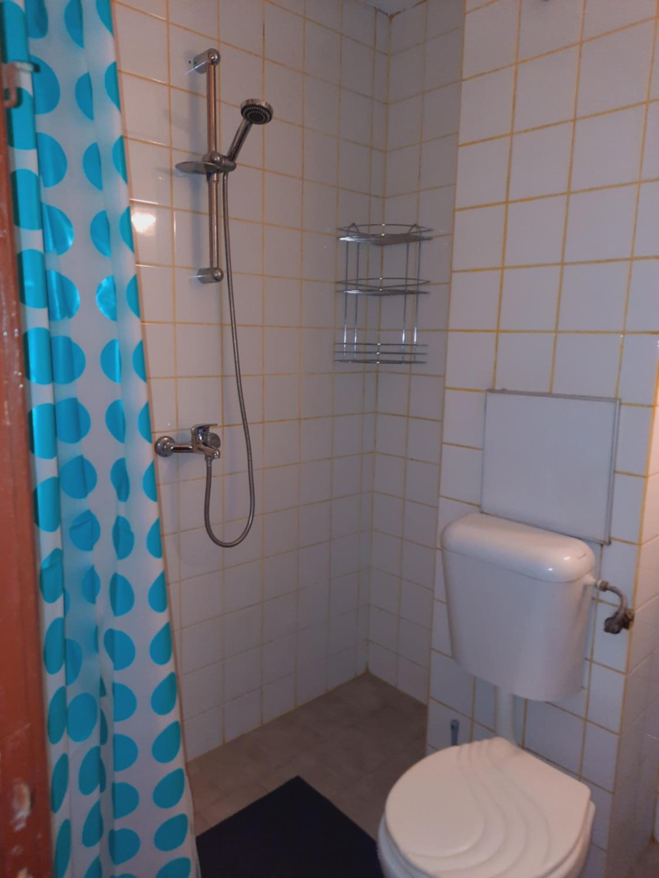 Eleny home