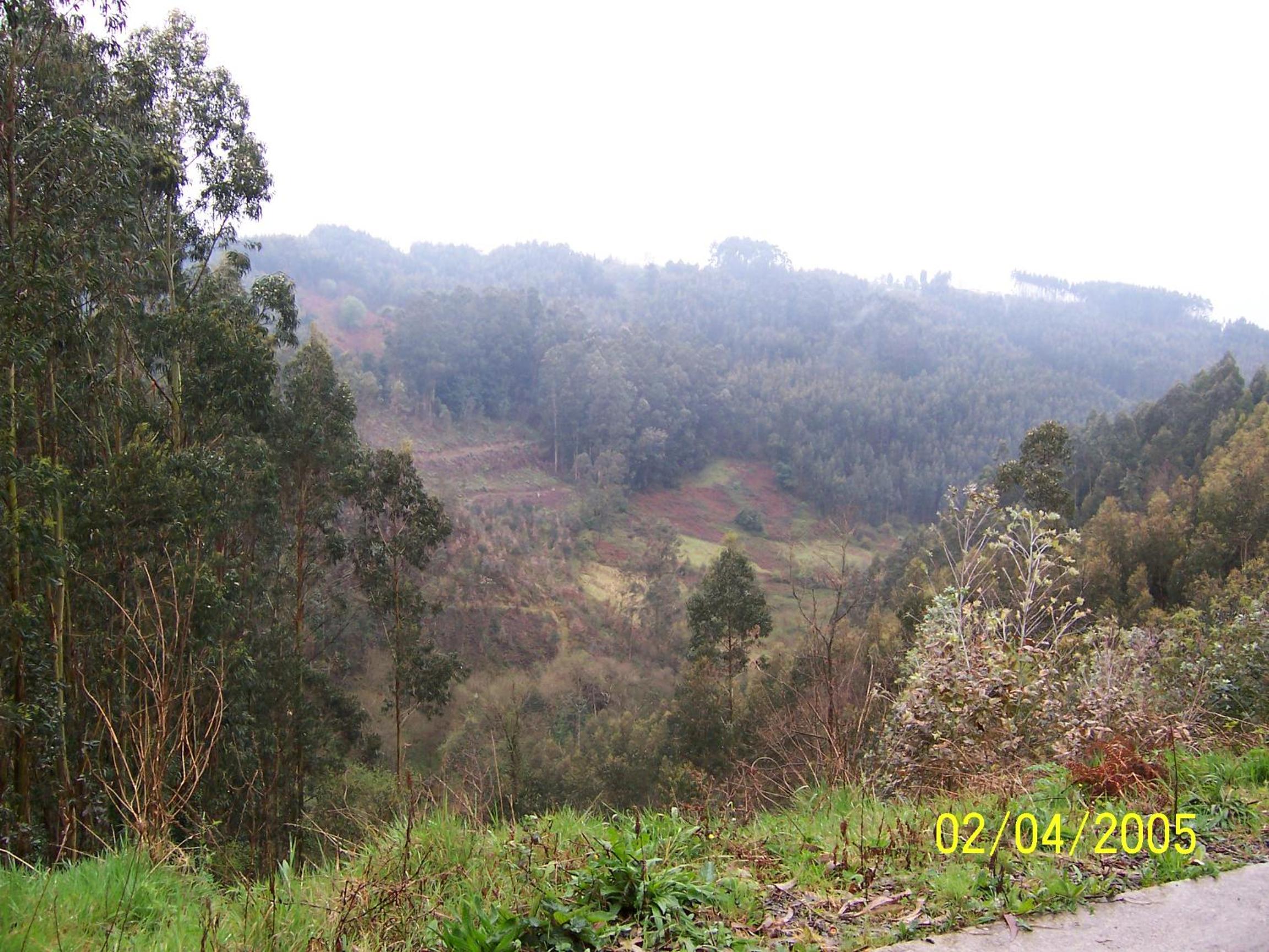 AGUAVIVA