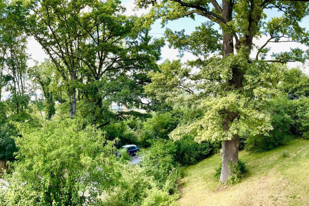 suite42 mit Seeblick nur 400m zum See - Property Image 9