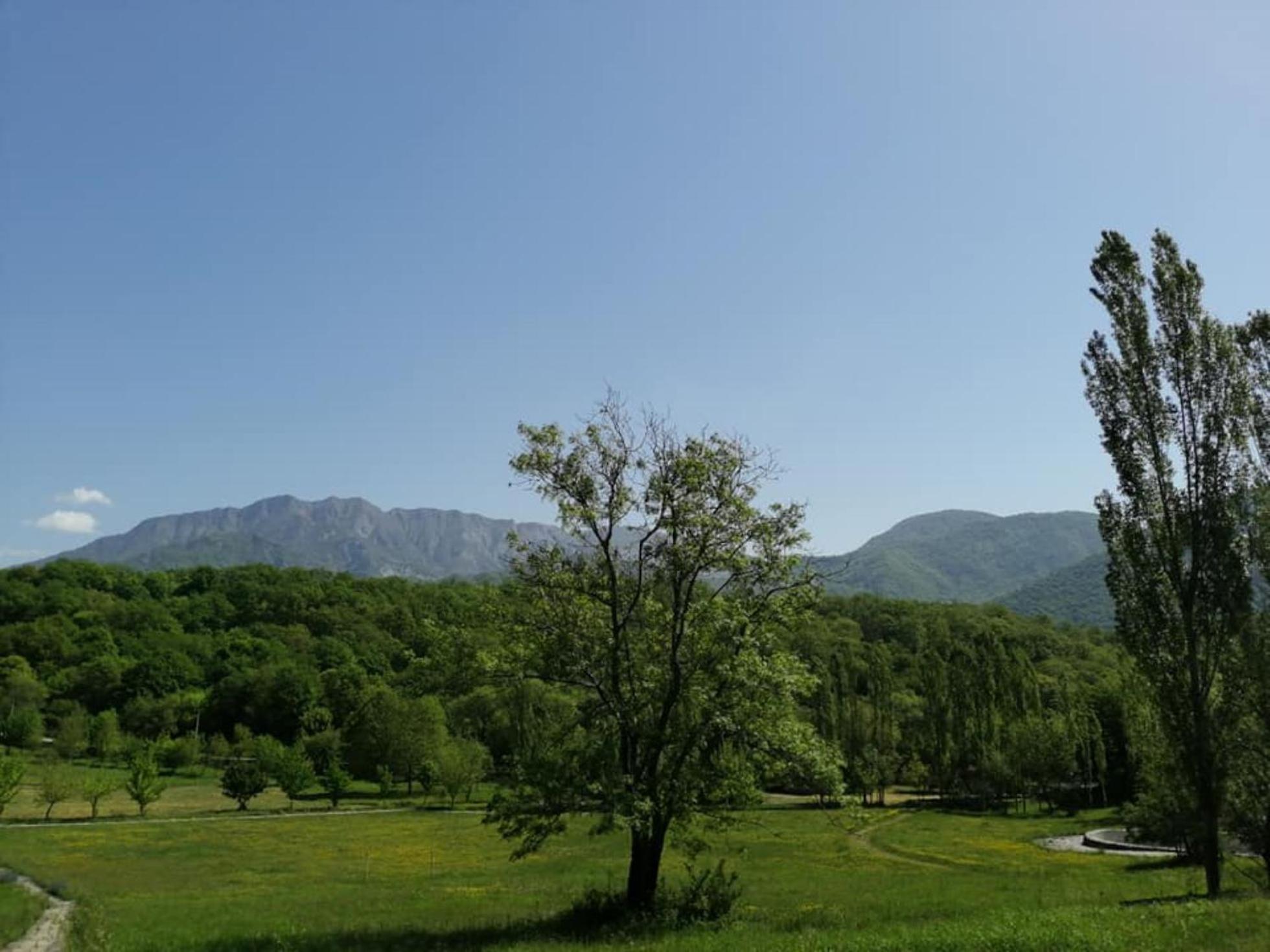 Grand Village