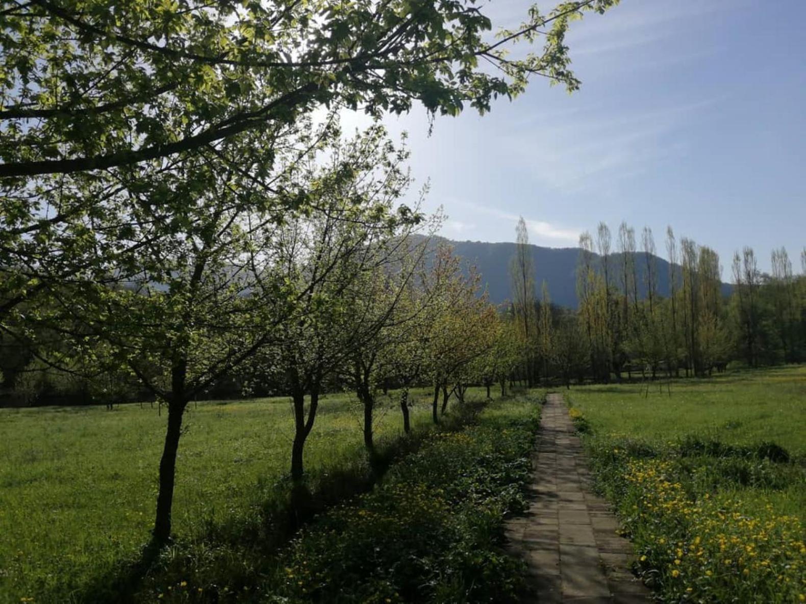 Grand Village