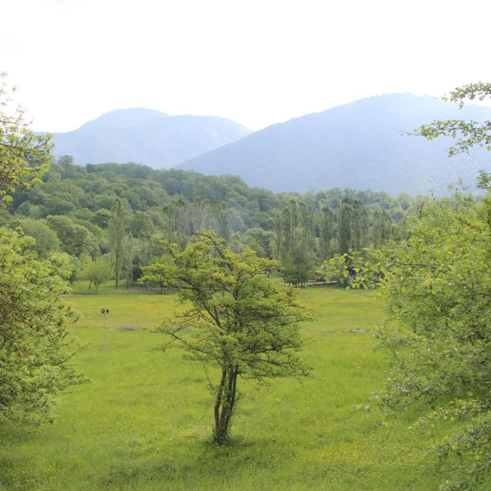 Grand Village