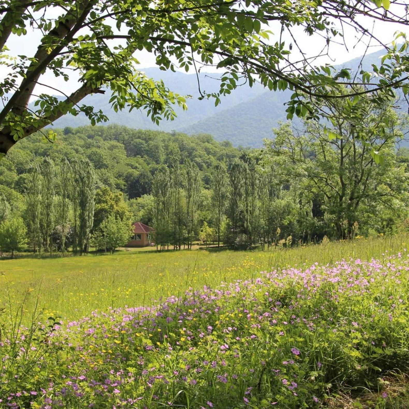 Grand Village