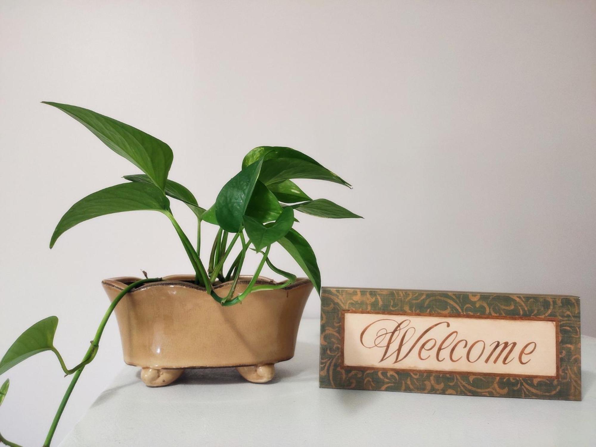 Green Leaf Home Stay