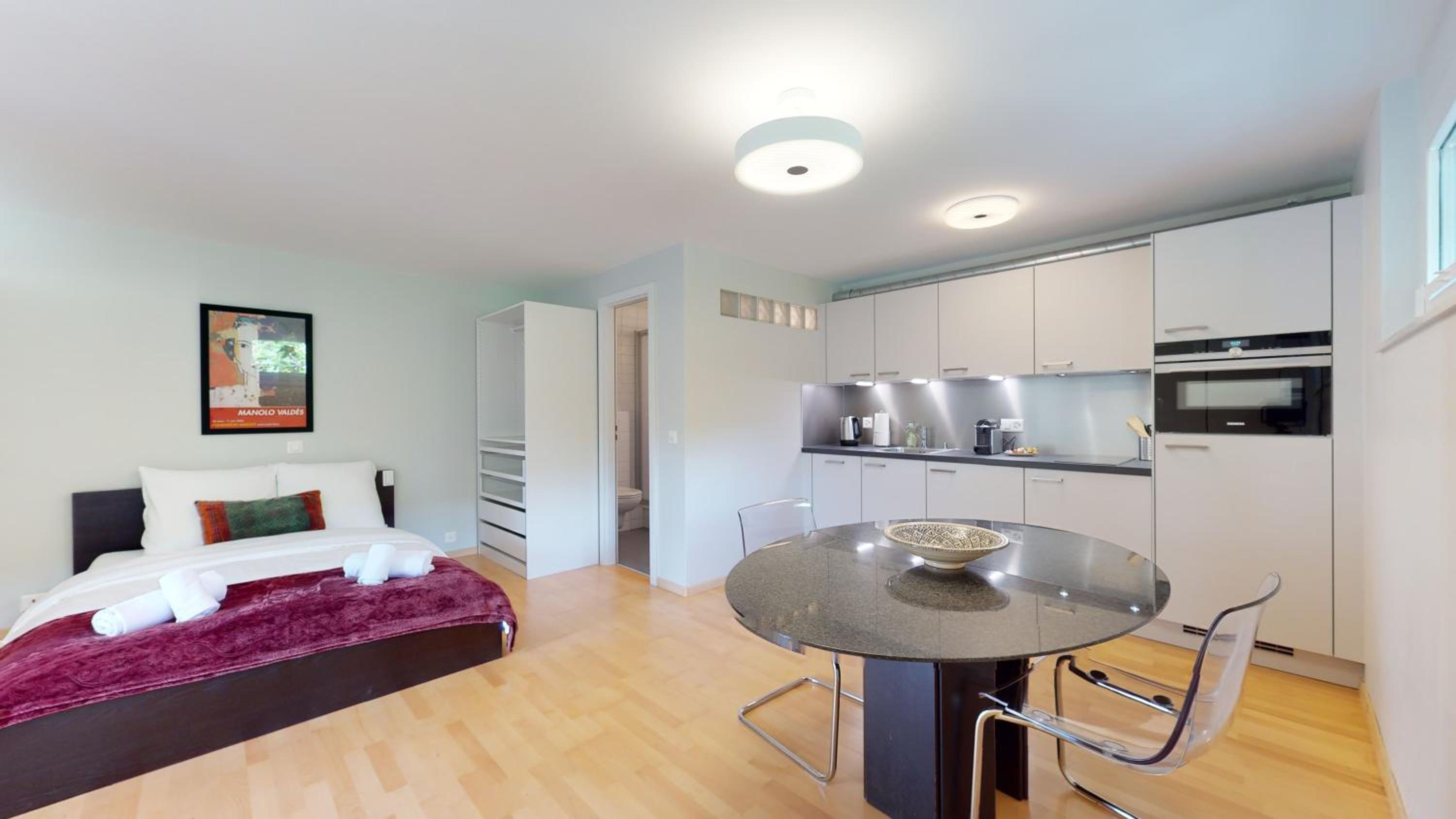 Spacious studio in a quiet area of Sierre