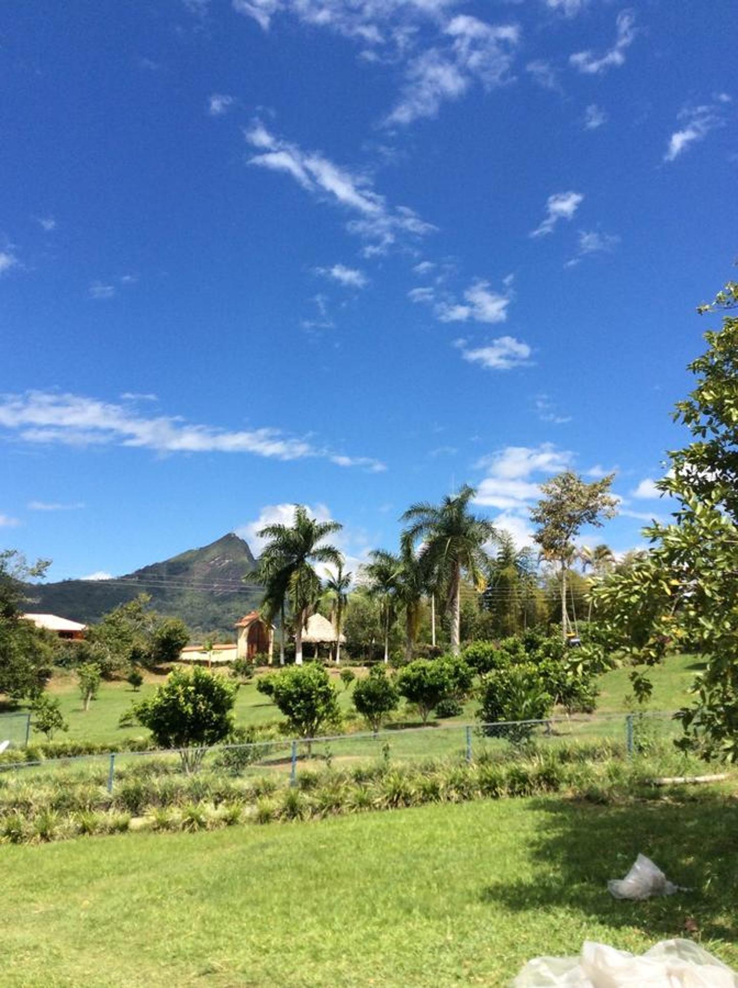 Las Mercedes Finca Cafetera