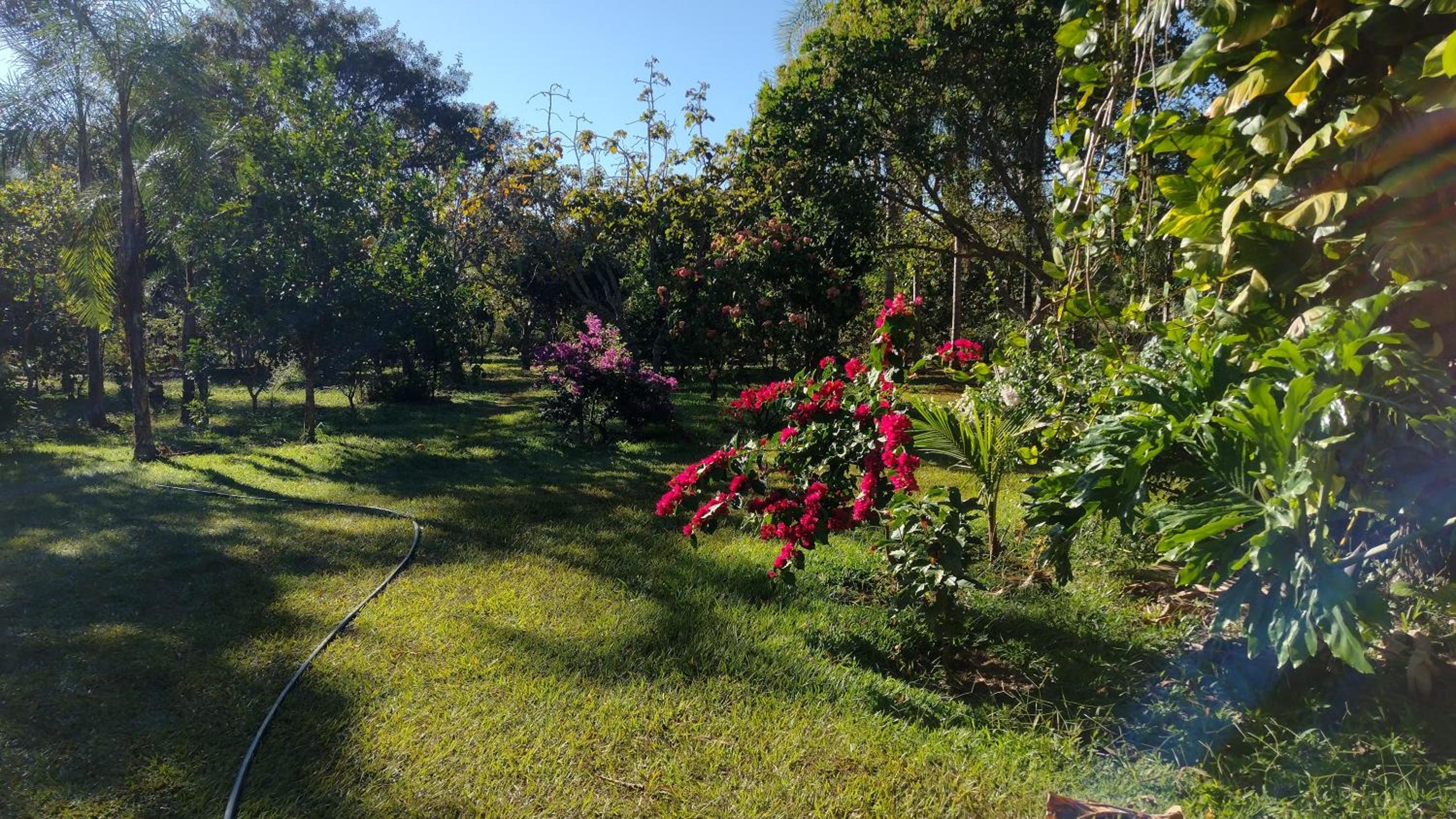 Pousada Camping das Águas