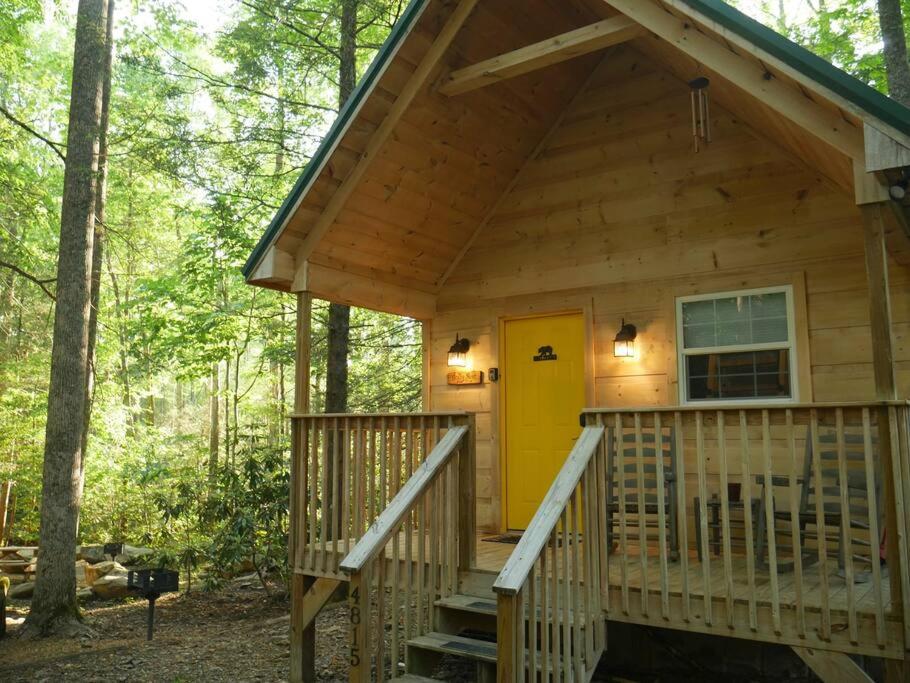 Holly Nest a Cozy Cabin Getaway near Gatlinburg view 3
