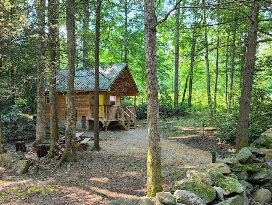Holly Nest a Cozy Cabin Getaway near Gatlinburg view 4
