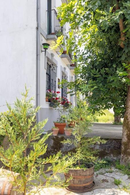 Casona de la Ribeira Sacra