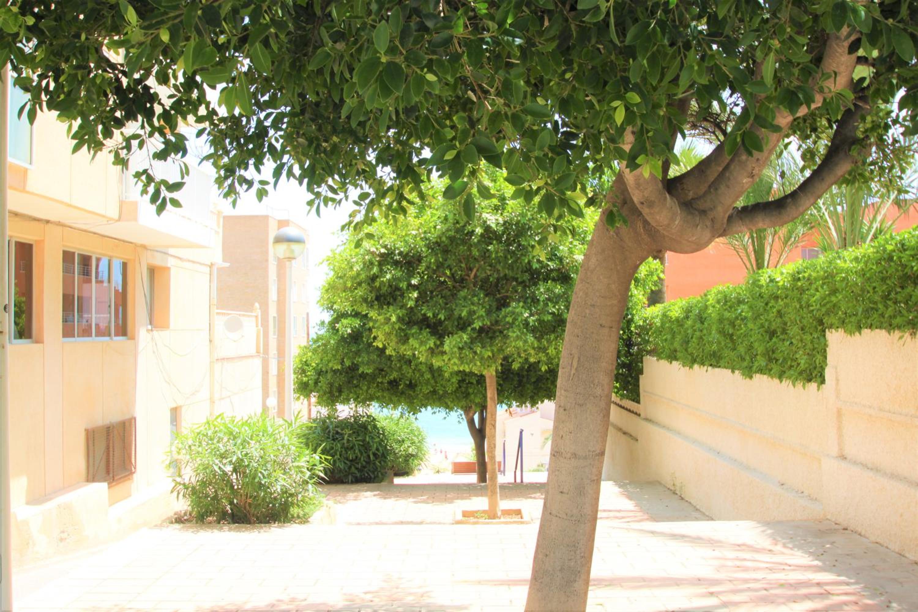 Apartamento CasaTuris en Los Arenales del Sol AR102 con terraza y piscina view 5
