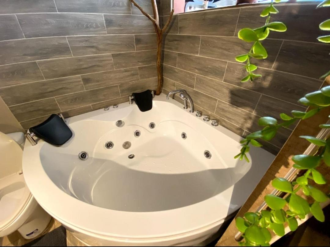 Casa Alma Lodge jacuzzi aire acondicionado wiffi bar