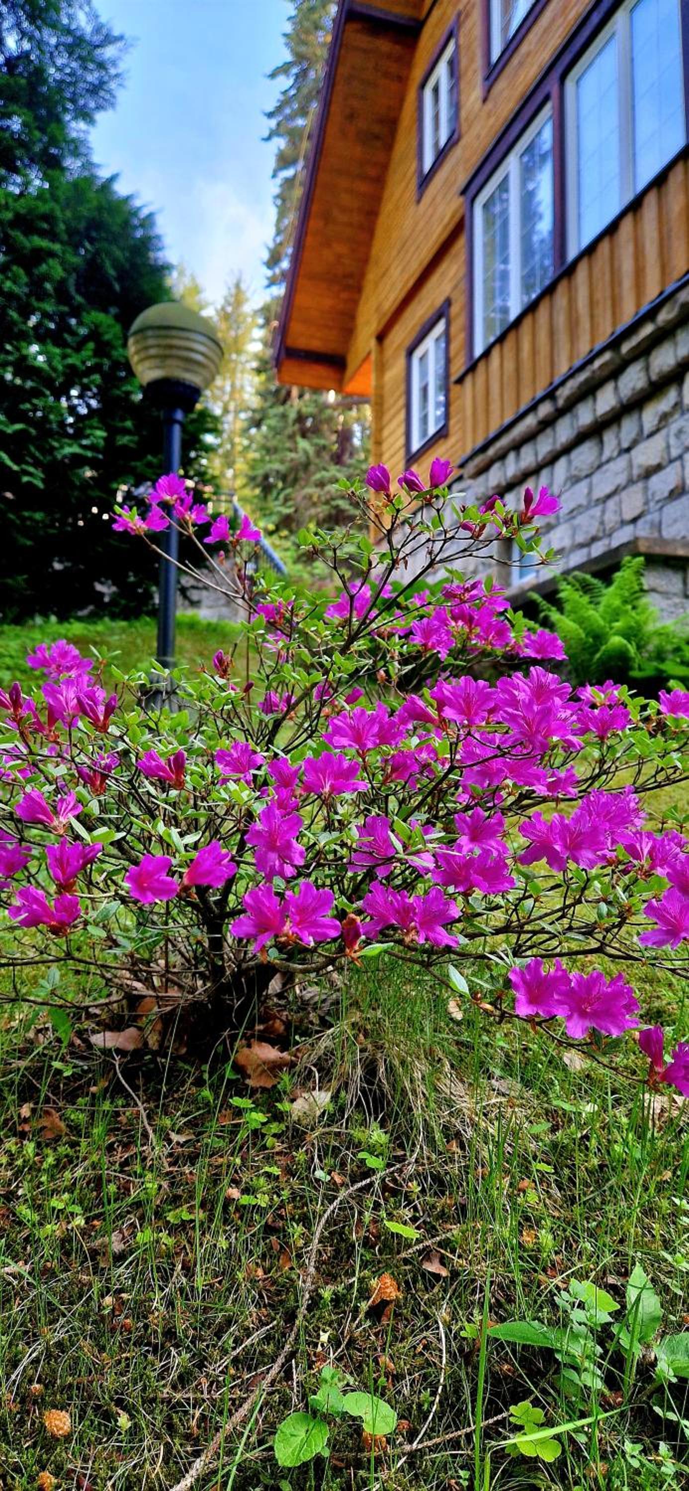 Photo 44
