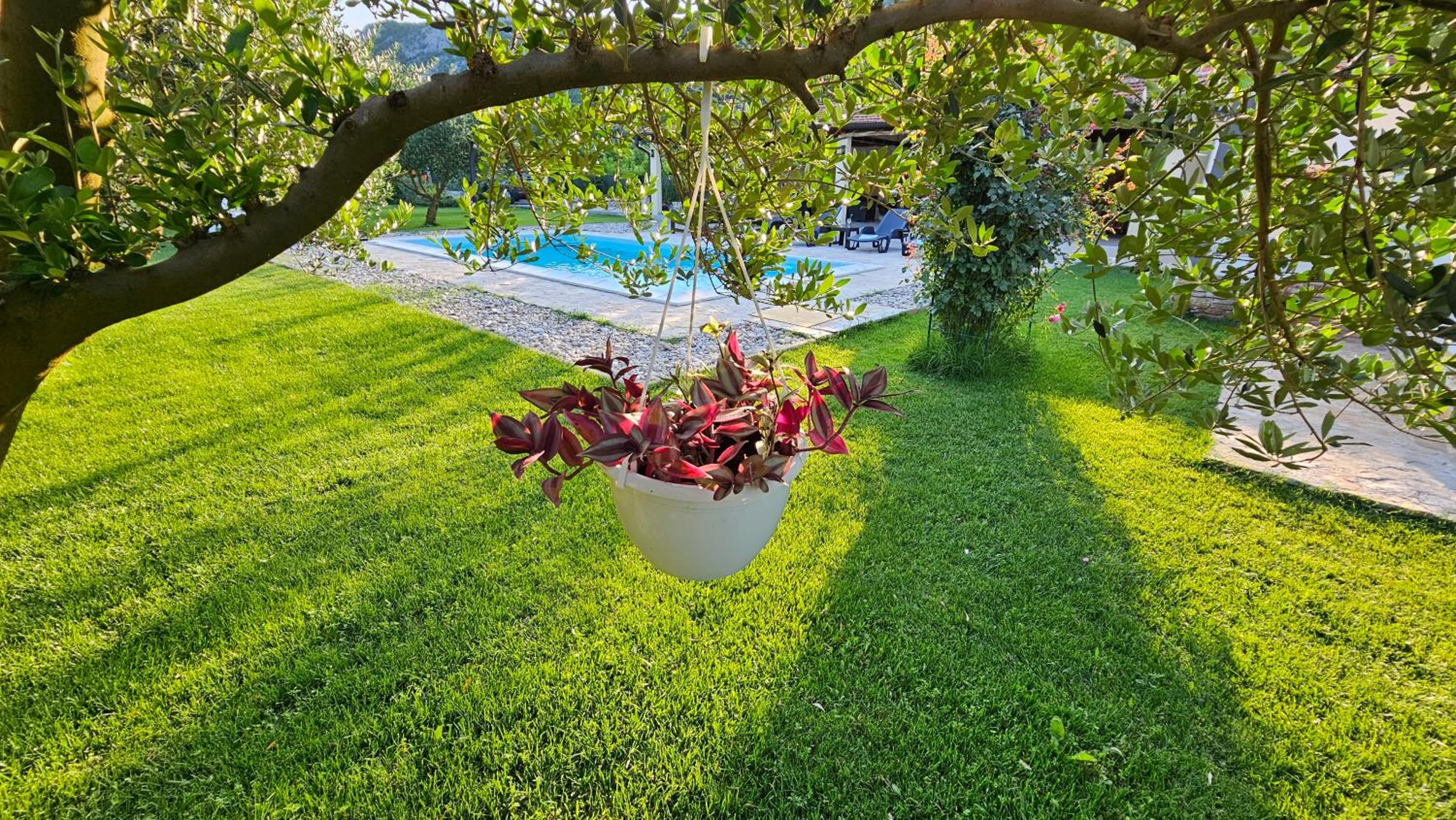 Holiday Home Natura with private pool
