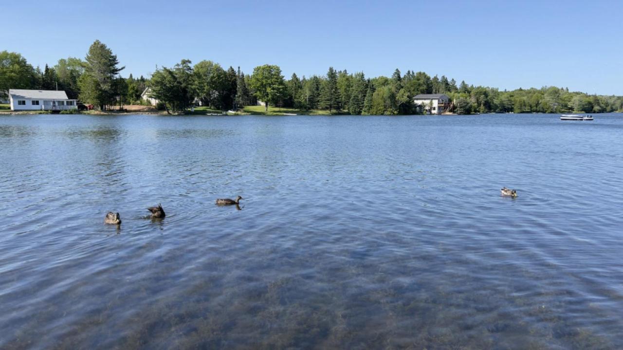 Douglas Lake Paradise AB