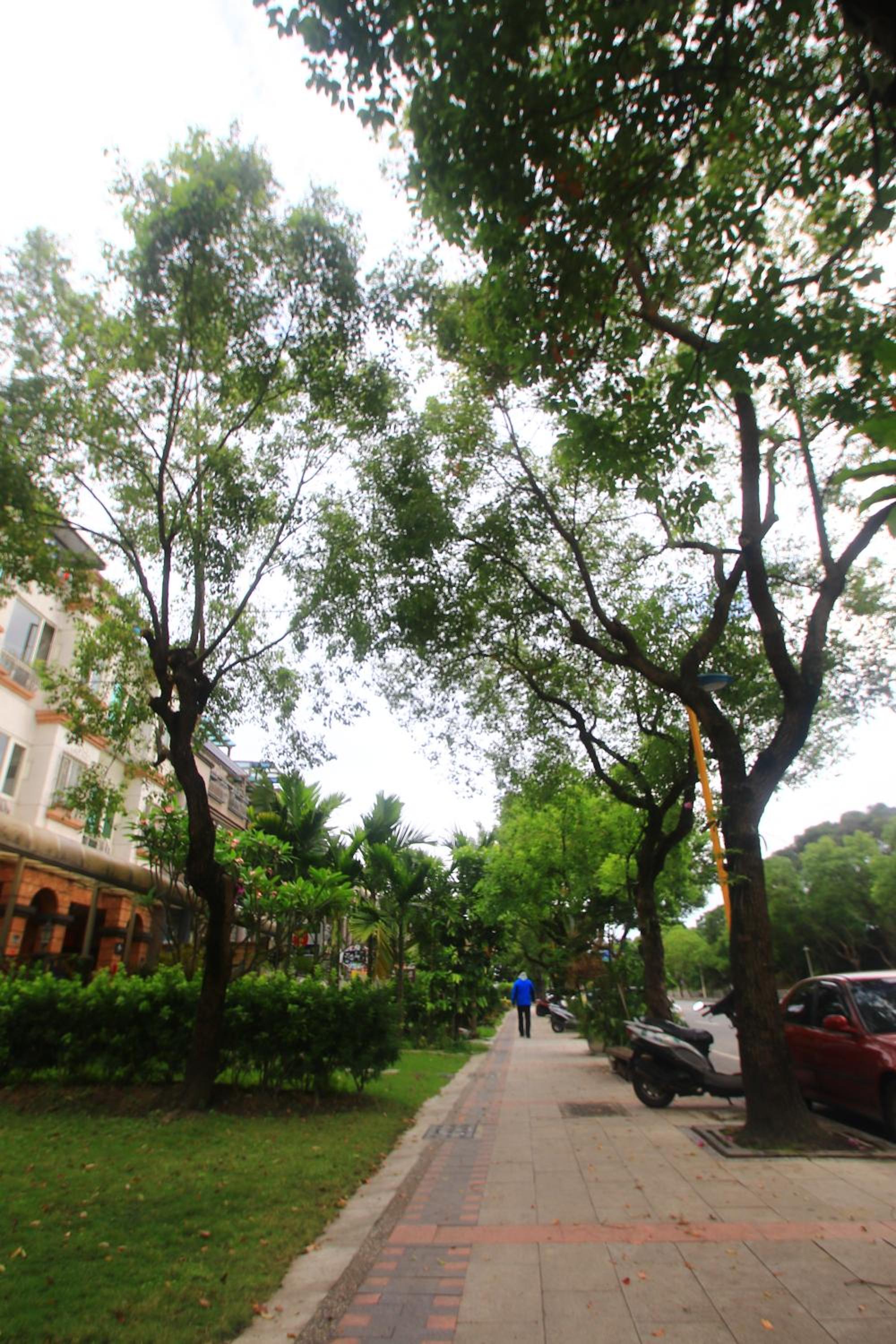 Malia Homestay