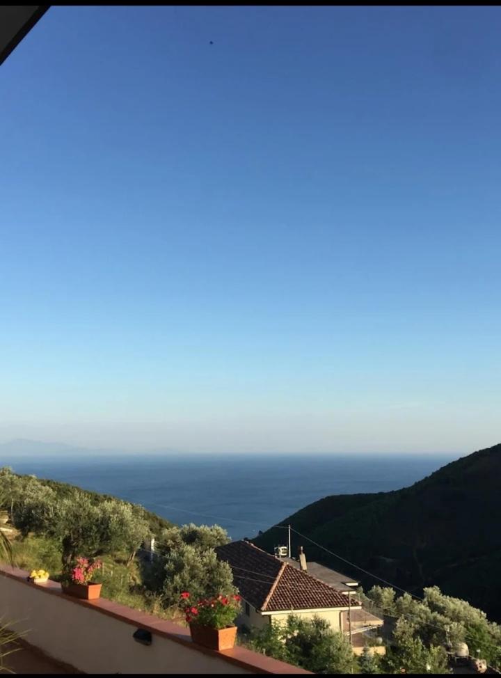 Contrada Cafaro