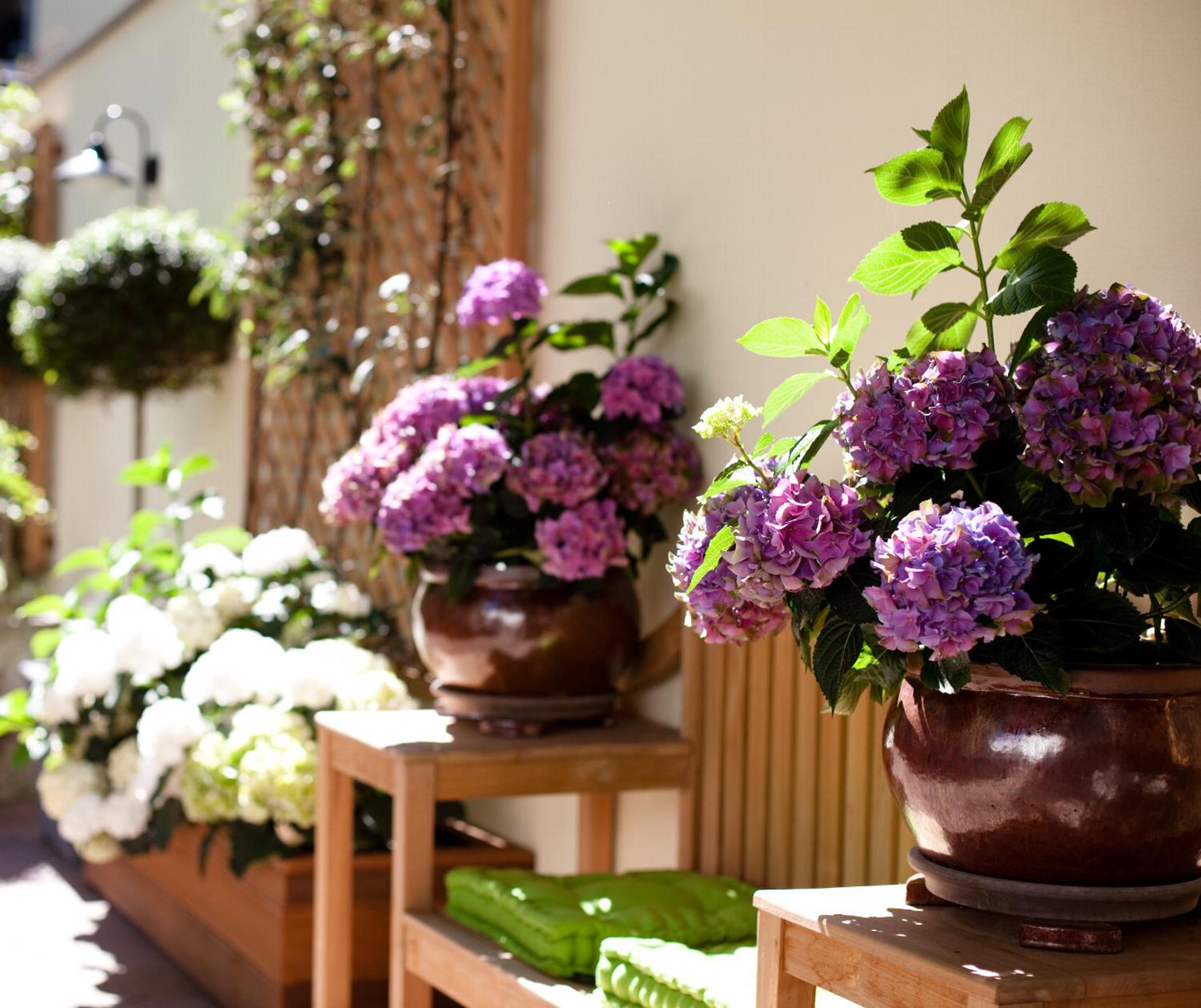 Dusseldorf Vacations - Hanseat-Hotel - Property Image 11