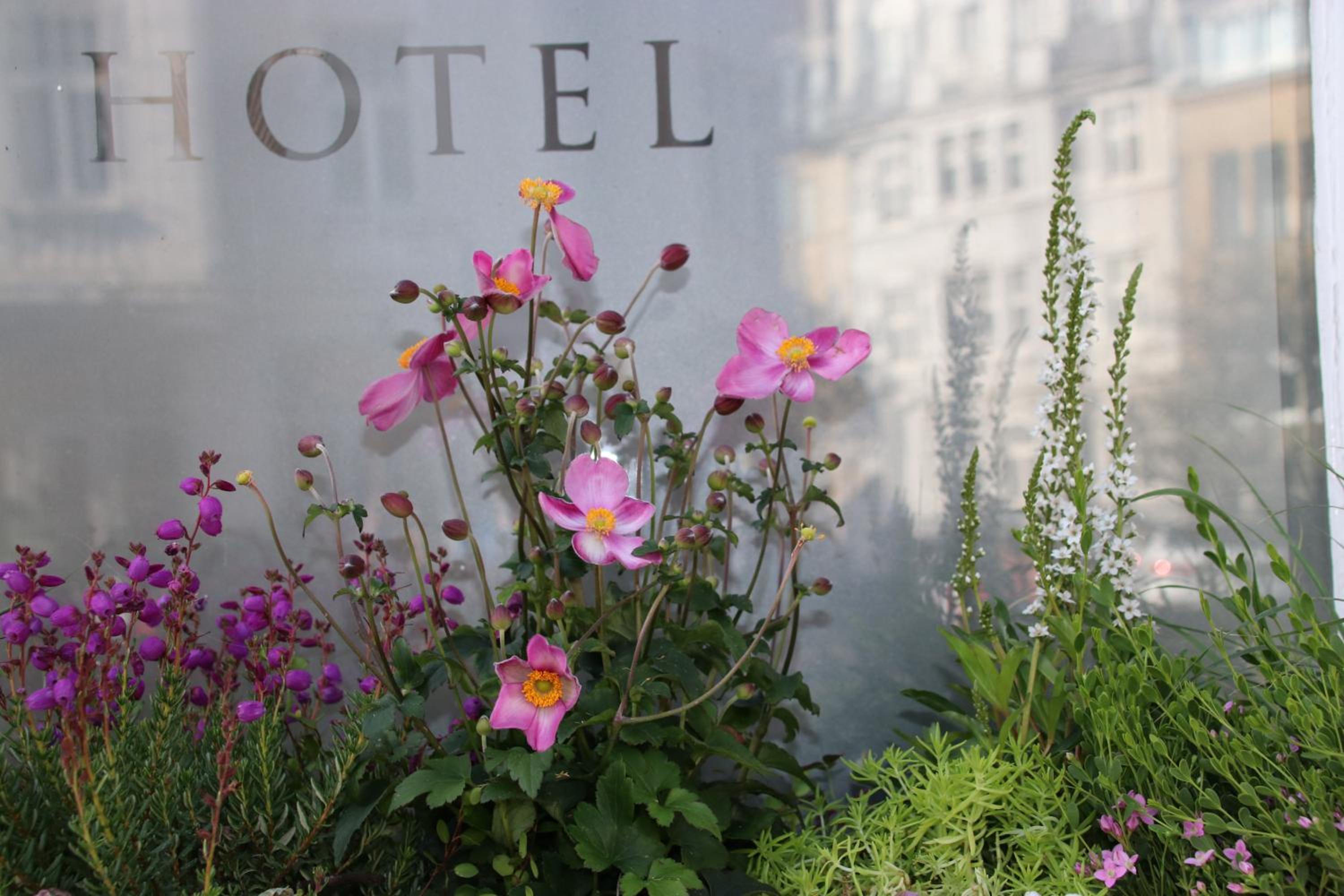 Dusseldorf Vacations - Hanseat-Hotel - Property Image 18