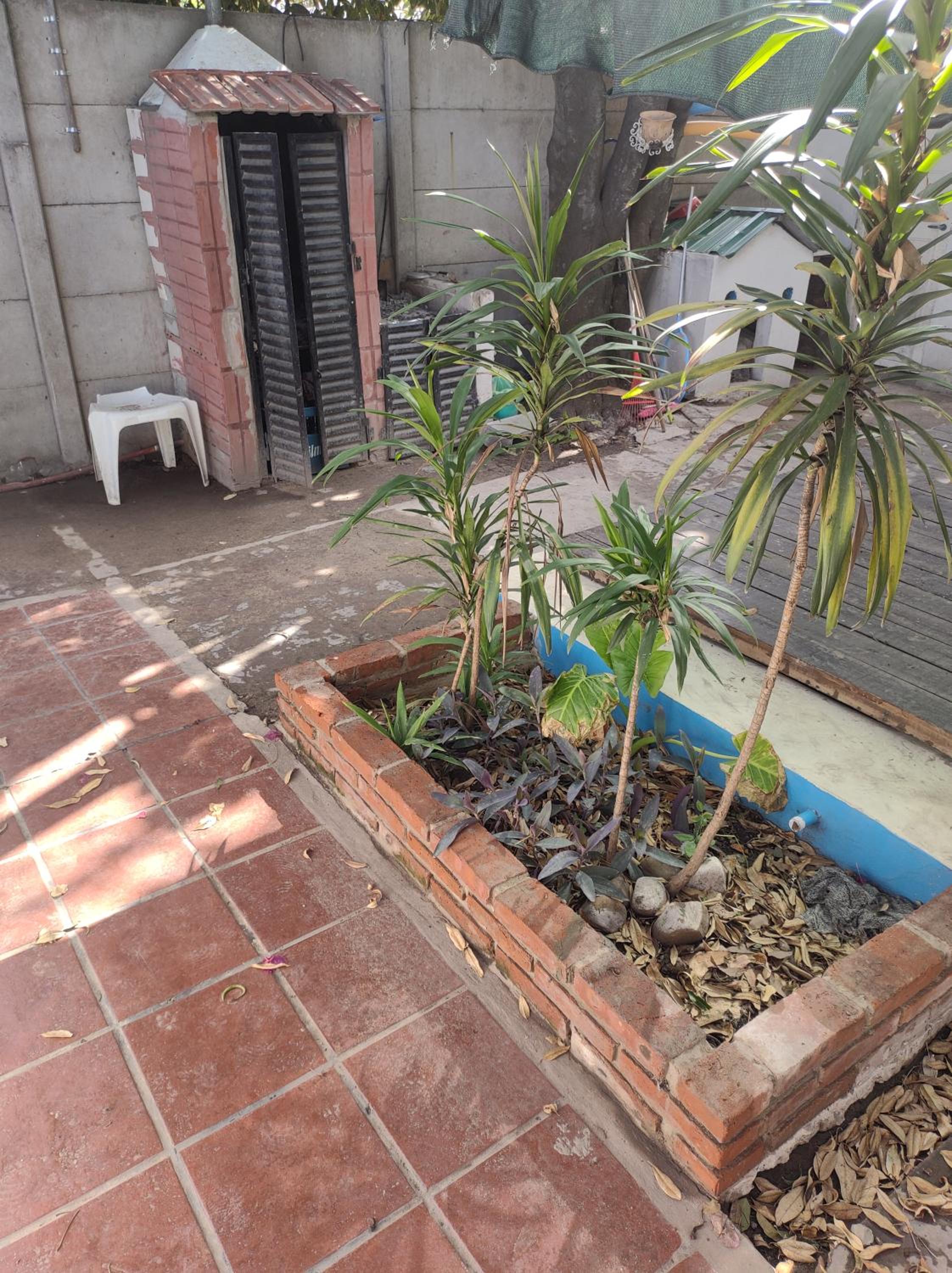 Alojamiento Piecita bajo el Ciruelo