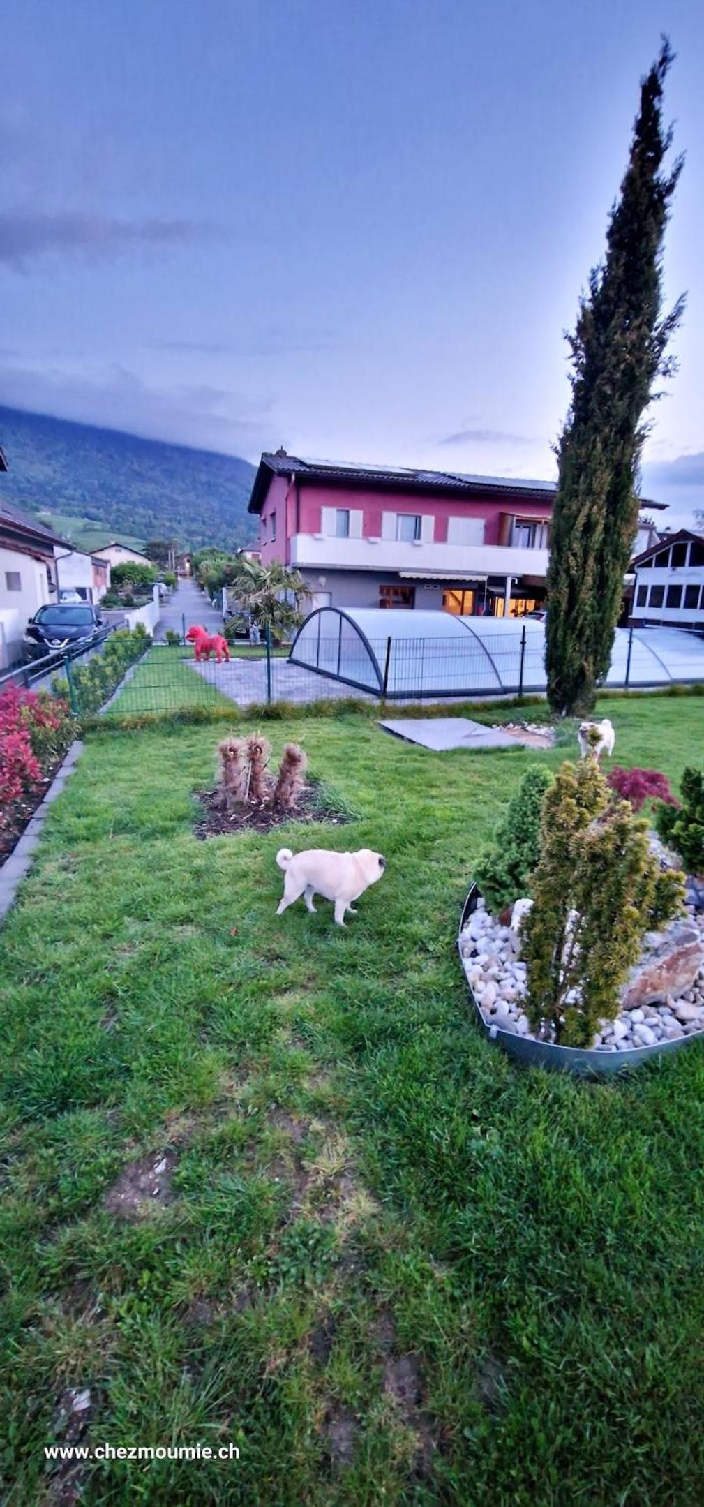 Comfortable studio in Bevaix with mountain view - 30 m² + Spa