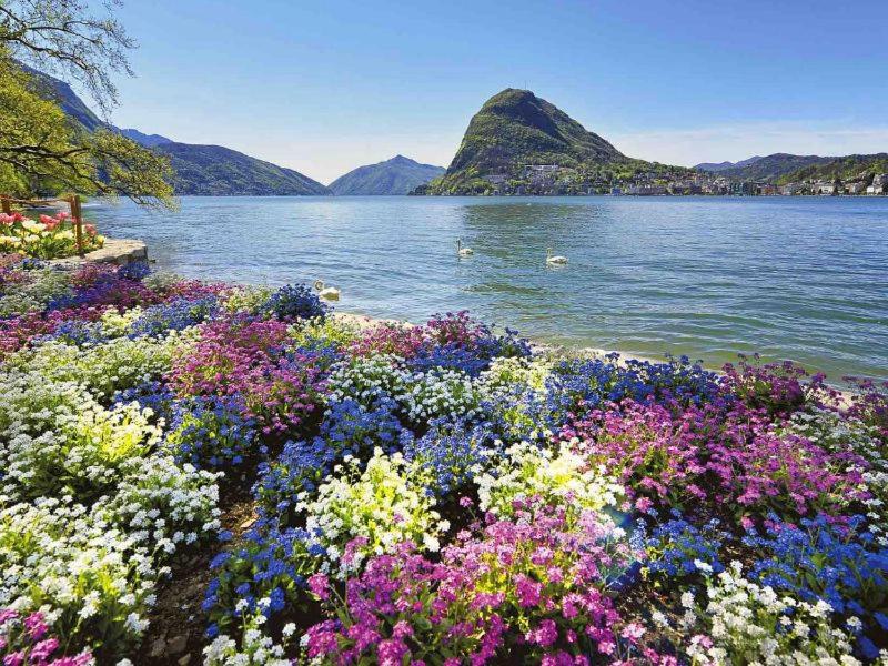 Violet Suite 5 Lugano City for 3 Guest -By EasyLife Swiss