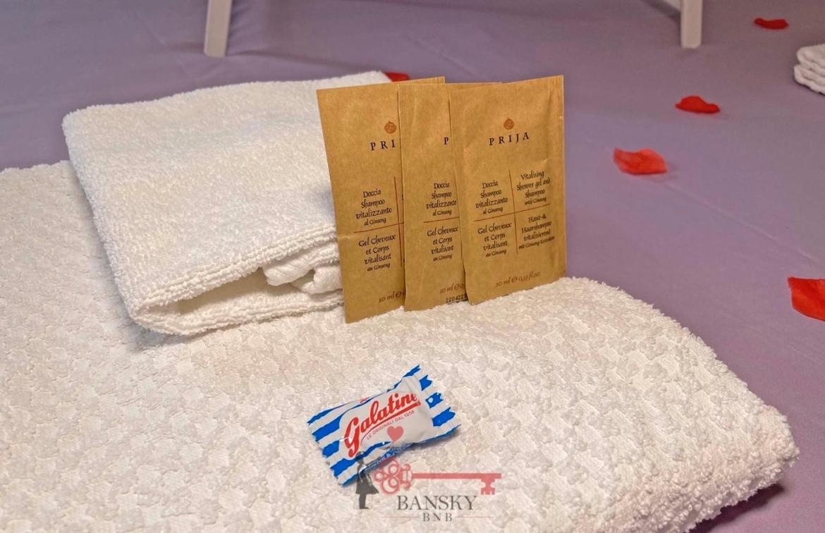 Violet Suite 5 Lugano City for 3 Guest -By EasyLife Swiss